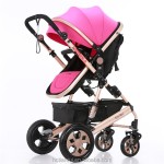 Baby Stroller Manufacturer - Tianrui Polyester Foldable Trolley