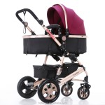 Baby Stroller Manufacturer - Tianrui Luxury 3 in 1