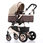 Baby Stroller Manufacturer - Tianrui Luxury 3 in 1