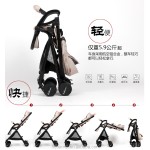 Baby Stroller Factory - Tianrui Food Tray Stroller Support