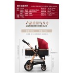 Baby Stroller Manufacturer - Tianrui Prams With Big Tires