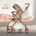 Baby Stroller Manufacturer - Lightweight Linen 2-in-1 Reversible Handle