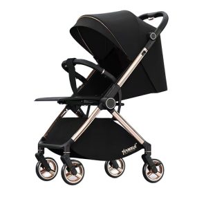 Baby Stroller Manufacturer - 2025 New Light Weight ASTM Reversible