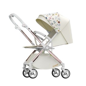 Baby Stroller Manufacturer - High Quality 3-in-1 Luxury Compact Alloy