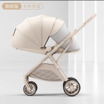 Baby Stroller Manufacturer - 2-in-1 Lying Sitting Two Way Push