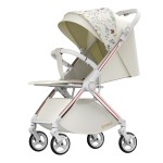 Baby Stroller Manufacturer - 2024 Two Way Push Reversible Foldable