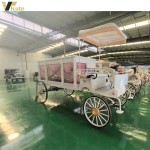 Funeral Vehicle Manufacturer - New Energy Electric Supplier Chariot