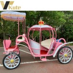 Horse Cart Manufacturer - Special Transportation Modern Wedding Pumpkin
