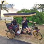 Recreational Vehicle Manufacturer - Custom Solar 2 Seater Golf Cart