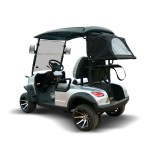 Off Road Buggy Manufacturer - 5Kw Ac System 72V Electric Club Car