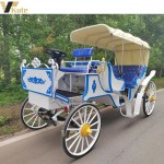 Sightseeing Horse Cart Factory - Hot Sale Electric Tourist with Awning
