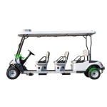 Electric Golf Cart Manufacturer - 2024 New Model 2 Seater Large Storage