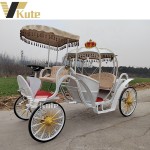 Horse Cart Manufacturer - Special Transportation Modern Wedding Pumpkin