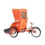 Golf Cart Factory - Customized Color 2 Seats Insulated Light-van