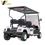 Golf Cart Factory - Chinese 2-6 Seater Cheap Price Motorized