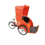 Golf Cart Factory - Customized Color 2 Seats Insulated Light-van
