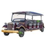 Classic Car Manufacturer - China Adult 6 Seats Gas Fuel Luxury