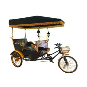 Transport Vehicle Factory - 2 Seats Pedicab New Model Rickshaw
