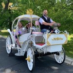 Electric Carriage Manufacturer - Hot Selling Horseless Wedding Sightseeing