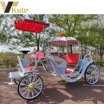 Horse Cart Manufacturer - Special Transportation Modern Wedding Pumpkin