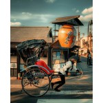Rickshaw/Tricycle