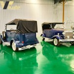 Electric Buggy Manufacturer - Six Passengers High Quality for Hotels