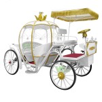 Electric Carriage Manufacturer - Hot Selling Horseless Wedding Sightseeing