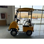 Electric Mini Golf Cart Manufacturer - High Quality 4 Seater Club Car