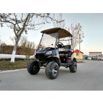 Utility Golf Cart Factory - Customizable 6-Seater Lead Acid Battery
