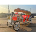 Electric Sightseeing Carriage Manufacturer - Blue Three Row Family Photo Amusement