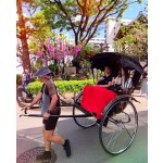 Electric EV Vehicle Manufacturer - Custom Solar Lithium Lead Acid