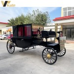 Electric Buggy Manufacturer - American Favorite Black Sightseeing Outdoor