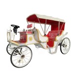 Sightseeing Horse Cart Factory - Hot Sale Electric Tourist with Awning