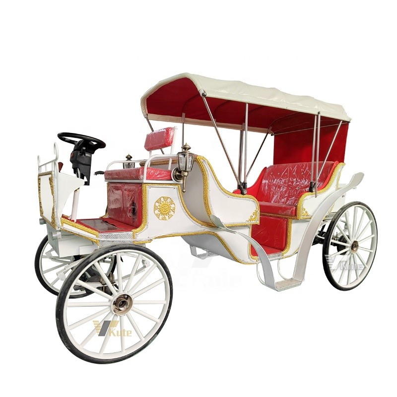 Sightseeing Horse Cart Factory - Hot Sale Electric Tourist with Awning