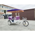 Electric Rickshaw Manufacturer - Rear Passenger 500W Motor Tricycle