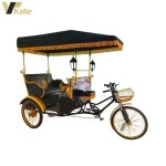 Pedicab Rickshaw Factory - Handwork Three Wheel for Wedding Touring