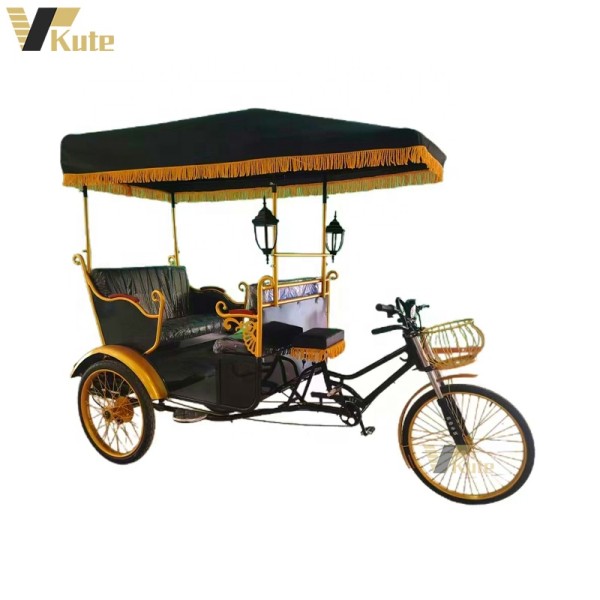 Pedicab Rickshaw Factory - Handwork Three Wheel for Wedding Touring