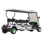 Electric Golf Cart Manufacturer - 2024 New Model 2 Seater Large Storage