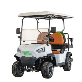 Electric Tricycle Manufacturer - Factory Direct New Cheap 3 Wheel Adult