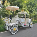 Electric Carriage Manufacturer - Hot Selling Horseless Wedding Sightseeing
