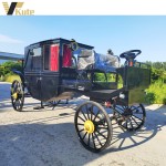 Electric Buggy Manufacturer - American Favorite Black Sightseeing Outdoor