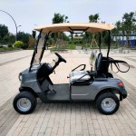 Utility Golf Cart Factory - Customizable 6-Seater Lead Acid Battery