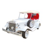 Electric Golf Cart Manufacturer - Environment-Friendly 2-6 Seats Short-Distance