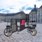 Pleasure Ground Carriage Factory - High Quality Gorgeous Romantic Wedding