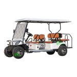 Electric Golf Cart Manufacturer - 2024 New Model 2 Seater Large Storage