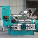 Oil Expeller Manufacturer - Plum Palm Extractor