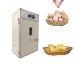 Chicken Incubator Factory - Large Capacity Automatic