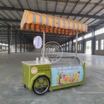 Ice Cream Cart Manufacturer - Mobile Stainless Freezer