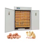 Incubator Manufacturer - High Accuracy Solar Morocco