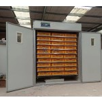 Egg Incubator Factory - Small Sized Holland Automatic